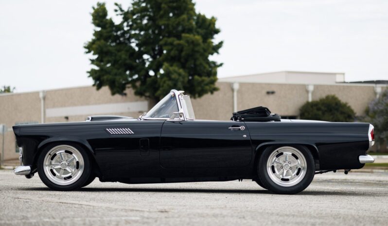 
								1956 Ford Thunderbird 5.0 Coyote Restomod full									