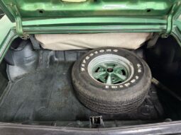 
										1969 Pontiac GTO Convertible 400CI full									