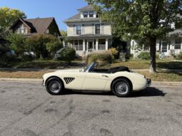 
										1967 Austin-Healey 3000 BJ8 Mk III full									