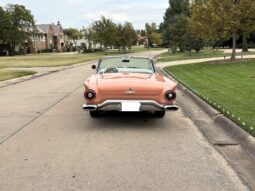 
										1957 Ford Thunderbird full									
