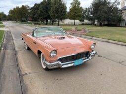 
										1957 Ford Thunderbird full									
