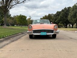 
										1957 Ford Thunderbird full									