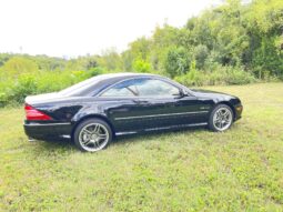 
										2005 Mercedes-Benz CL65 AMG full									