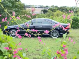 
										2005 Mercedes-Benz CL65 AMG full									