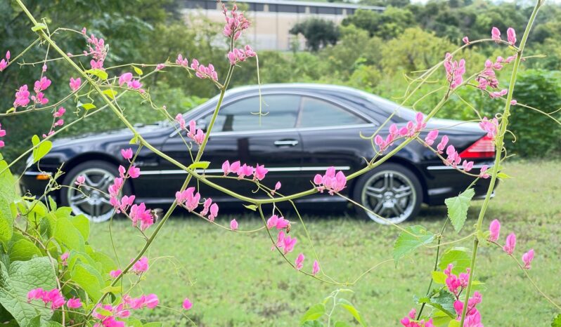 
								2005 Mercedes-Benz CL65 AMG full									