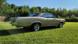 
										1967 Pontiac GTO Hardtop Coupe 4-Speed full									