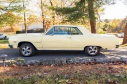 
										1965 Chevrolet Chevelle Malibu SS Sport Coupe full									