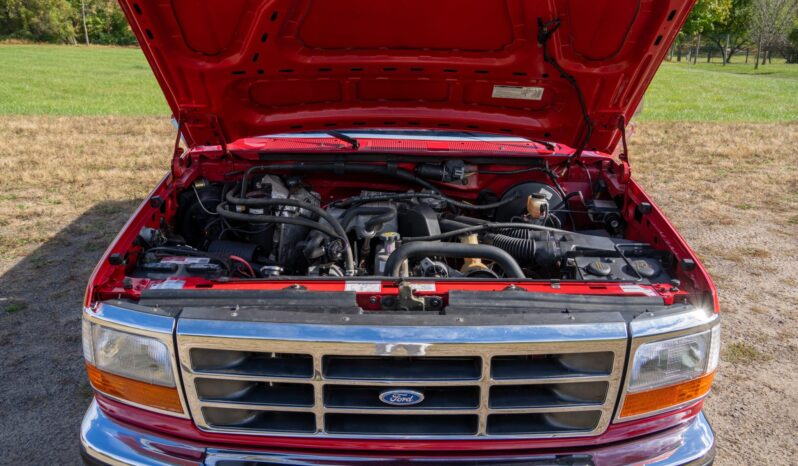
								1995 Ford F-150 XLT 4×4 5-Speed full									