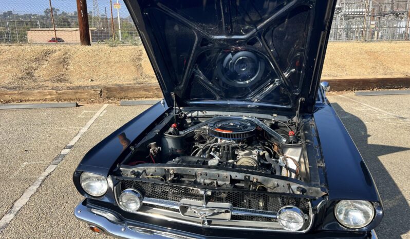 
								1965 Ford Mustang Fastback 5-Speed full									