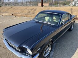
										1965 Ford Mustang Fastback 5-Speed full									