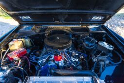1977 Ford Bronco 302 full