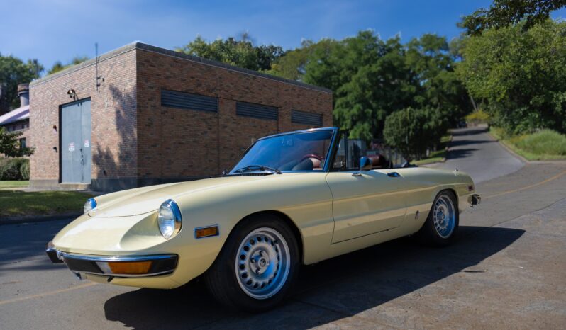 								1981 Alfa Romeo 2000 Spider Veloce full									