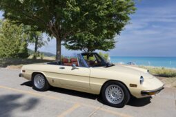 										1981 Alfa Romeo 2000 Spider Veloce full									