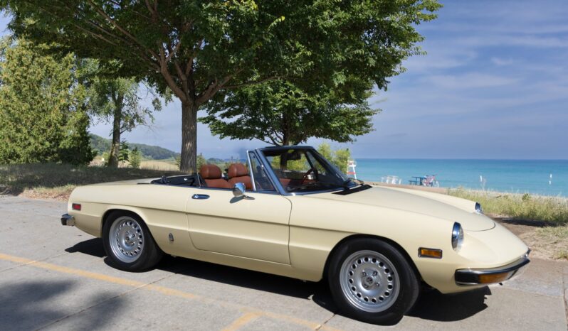 								1981 Alfa Romeo 2000 Spider Veloce full									