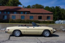 										1981 Alfa Romeo 2000 Spider Veloce full									