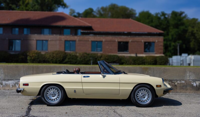 								1981 Alfa Romeo 2000 Spider Veloce full									