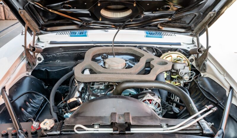 								1969 Pontiac Firebird Trans Am Ram Air III full									