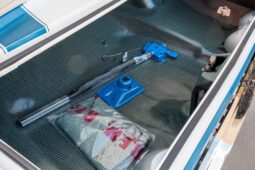 										1969 Pontiac Firebird Trans Am Ram Air III full									