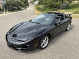 2002 Pontiac Firebird Trans Am SLP Firehawk Coupe 6-Speed