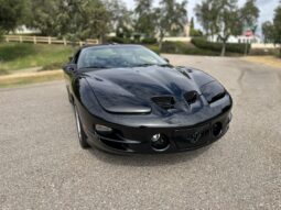 										2002 Pontiac Firebird Trans Am SLP Firehawk Coupe 6-Speed full									