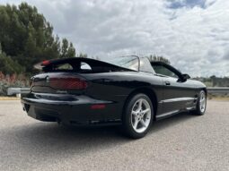 										2002 Pontiac Firebird Trans Am SLP Firehawk Coupe 6-Speed full									