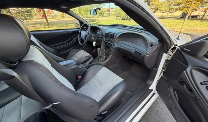 								2003 Ford Mustang SVT Cobra Coupe full									