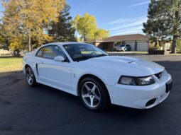 										2003 Ford Mustang SVT Cobra Coupe full									