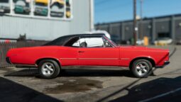 
										1967 Pontiac GTO Hardtop Coupe full									