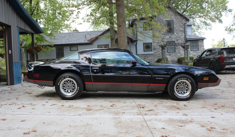 
								1979 Pontiac Firebird Formula WS6 4-Speed full									