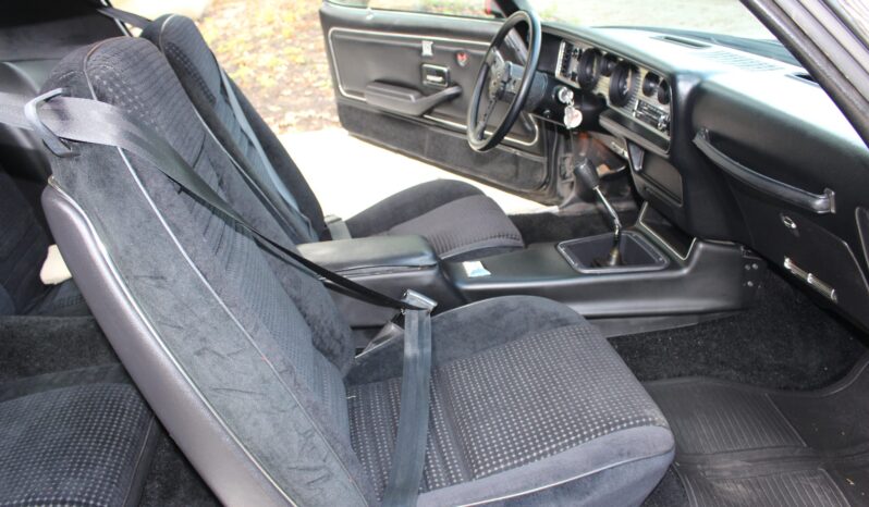 
								1979 Pontiac Firebird Formula WS6 4-Speed full									