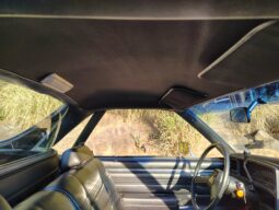 
										1979 Chevrolet El Camino full									