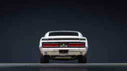 
										1970 Ford Shelby GT500 Fastback full									