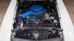 
										1970 Ford Shelby GT500 Fastback full									