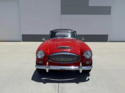
										1966 Austin-Healey 3000 BJ8 Mk III full									