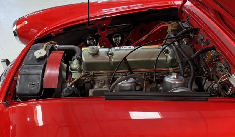 
								1966 Austin-Healey 3000 BJ8 Mk III full									