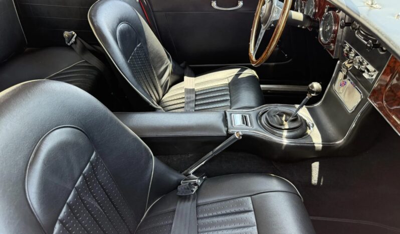 
								1966 Austin-Healey 3000 BJ8 Mk III full									