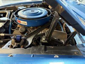 1970 Shelby Mustang GT350 Fastback