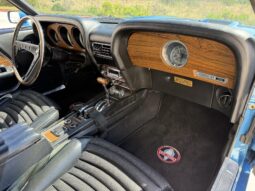 										1970 Shelby Mustang GT350 Fastback full									