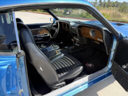 										1970 Shelby Mustang GT350 Fastback full									