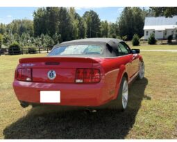 
										2007 Ford Mustang Shelby GT500 Convertible full									