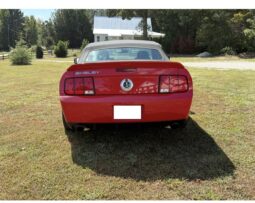 
										2007 Ford Mustang Shelby GT500 Convertible full									