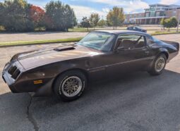 1979 Pontiac Firebird Trans Am WS6 4-Speed 2