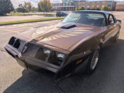 
										1979 Pontiac Firebird Trans Am WS6 4-Speed full									