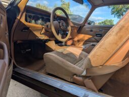 
										1979 Pontiac Firebird Trans Am WS6 4-Speed full									