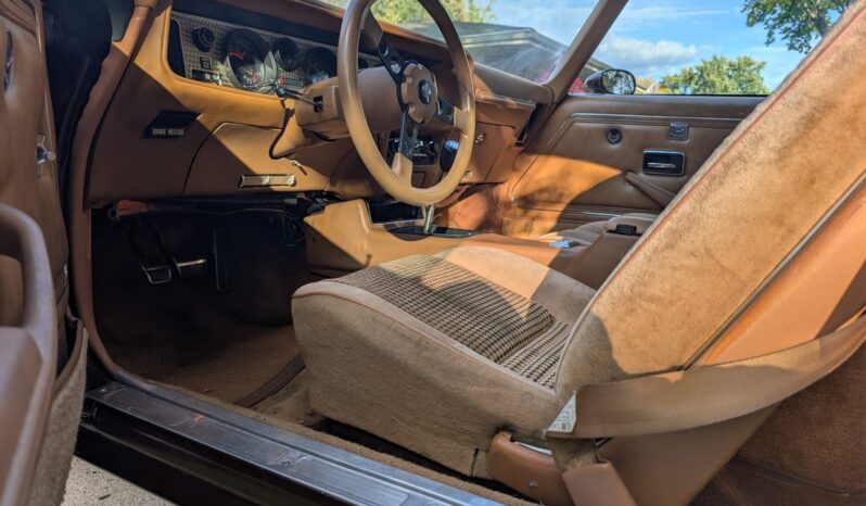 
								1979 Pontiac Firebird Trans Am WS6 4-Speed full									