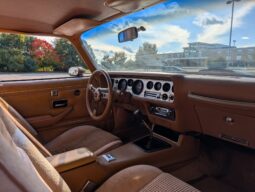 
										1979 Pontiac Firebird Trans Am WS6 4-Speed full									