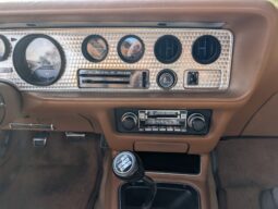 
										1979 Pontiac Firebird Trans Am WS6 4-Speed full									