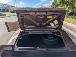 
										1979 Pontiac Firebird Trans Am WS6 4-Speed full									