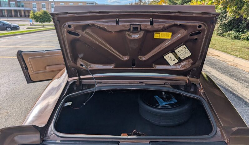 
								1979 Pontiac Firebird Trans Am WS6 4-Speed full									