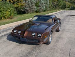 
										1979 Pontiac Firebird Trans Am WS6 4-Speed full									